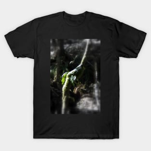 snowy Oregon ferns in trees 2 T-Shirt